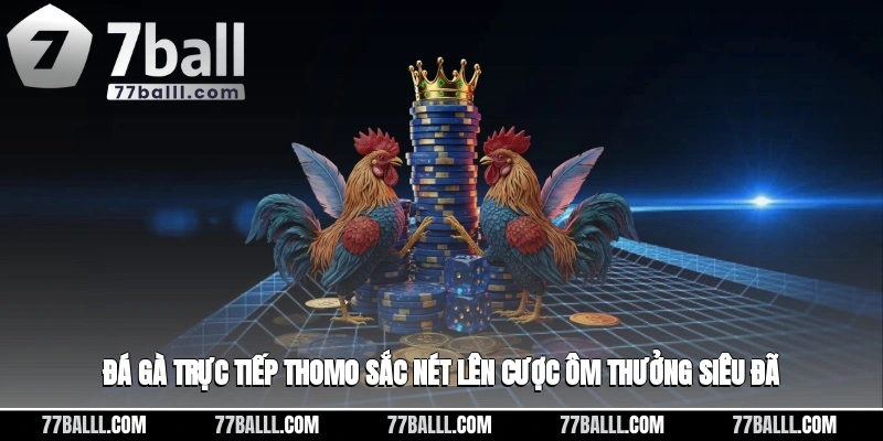 Đá Gà Trực Tiếp Thomo Sắc Nét, Lên Cược Ôm Thưởng Siêu Đã