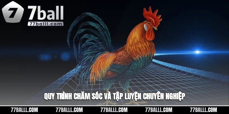 Quy trình chăm sóc cũng như tập luyện chuyên nghiệp